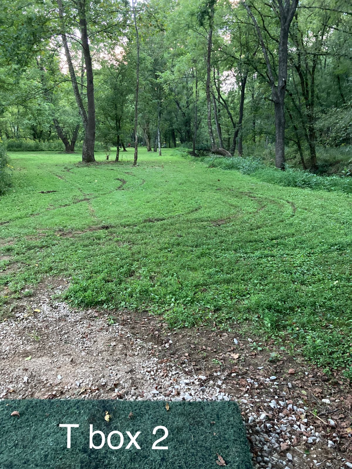 T box 2 hole 12