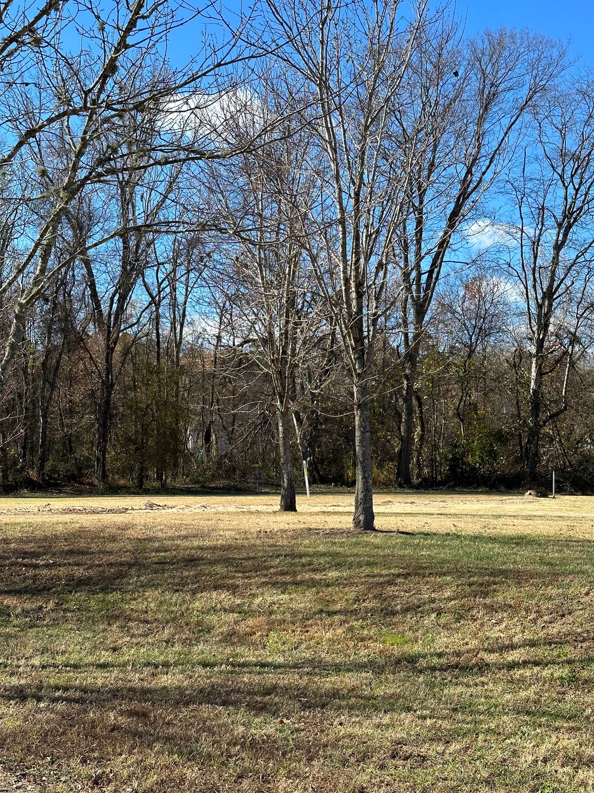 Hole 6 - Pick a path to basket along tree line.