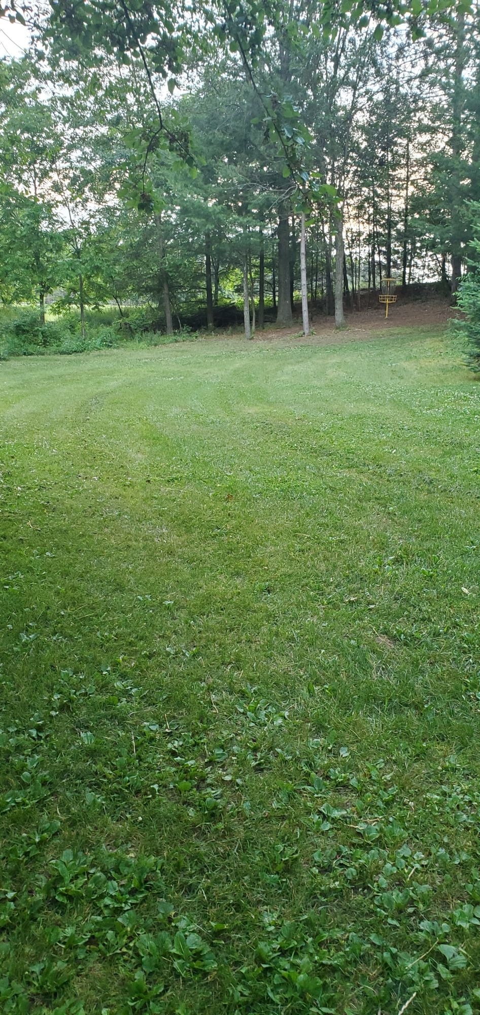 Hole #9 long basket.