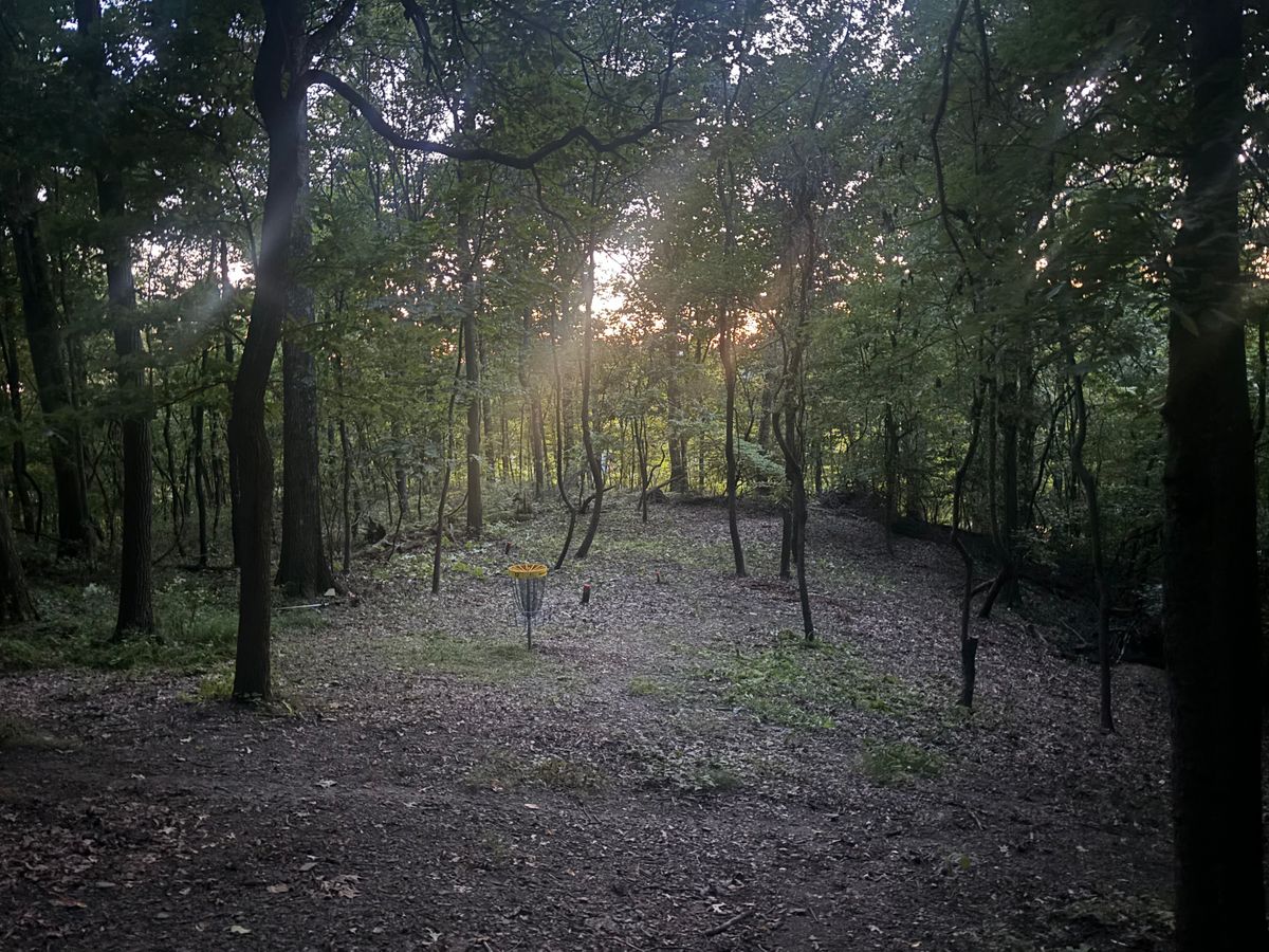 Hole 12’s green area