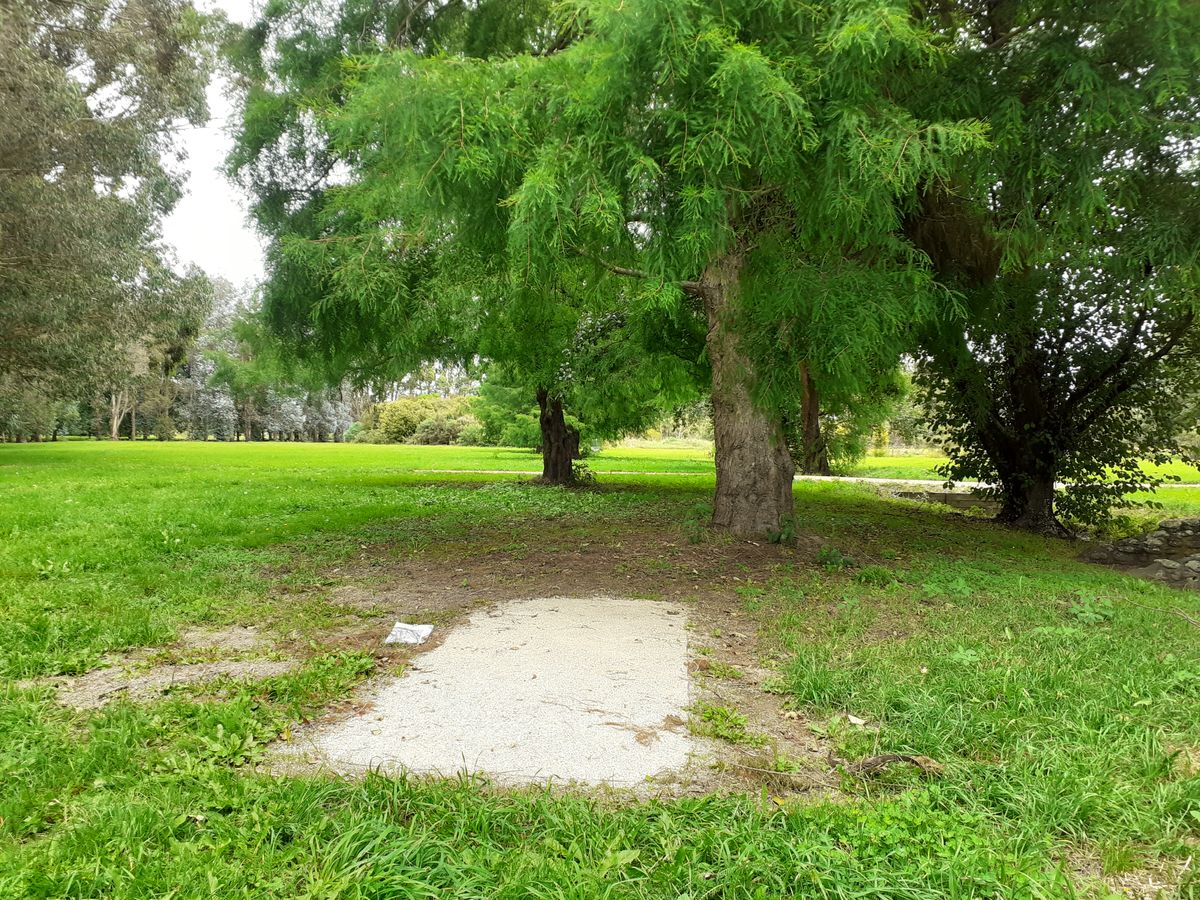 Hole 5 Tee