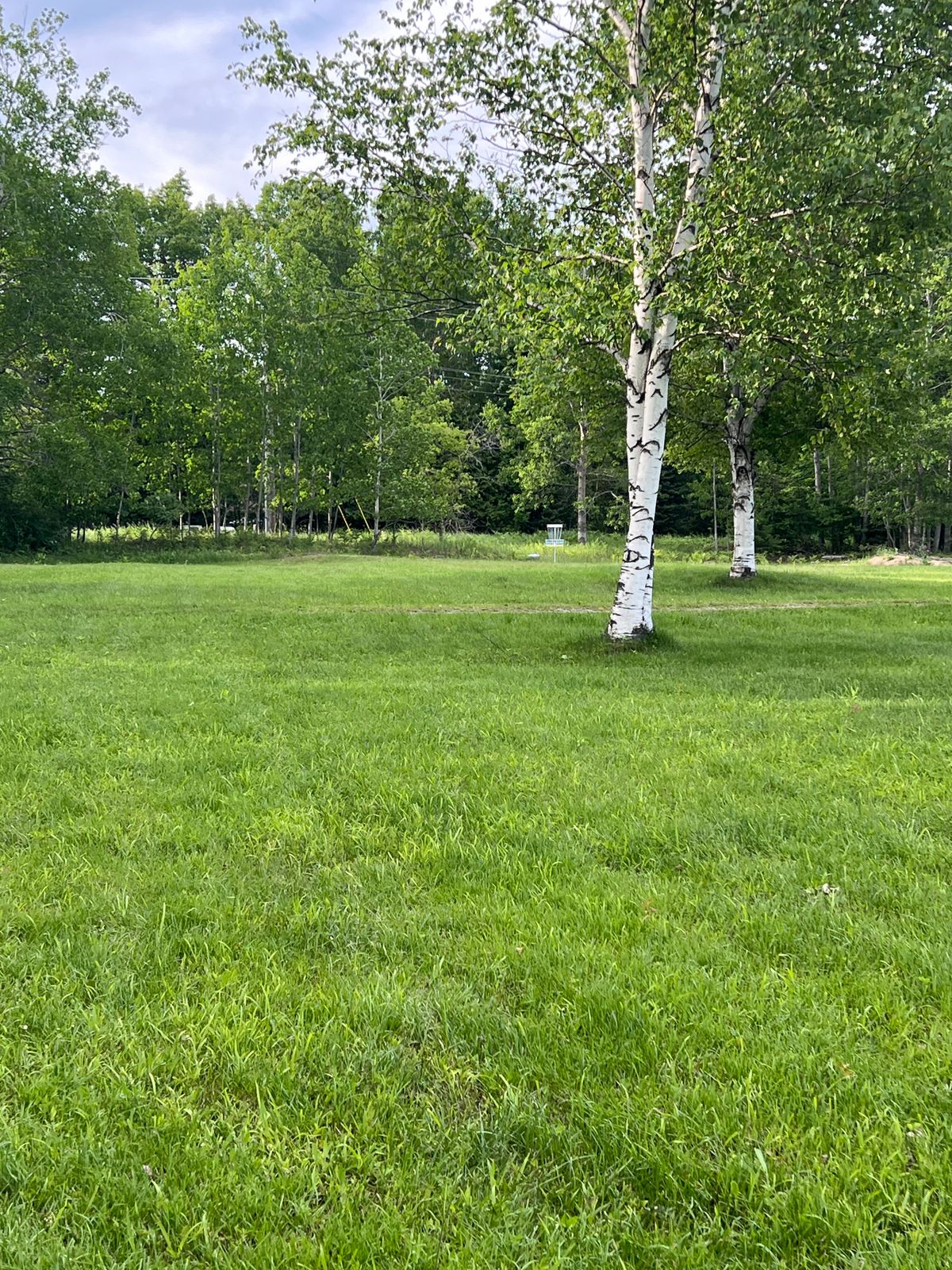 Hole 9 - just behind the Mando trees
Number 9 (18)
#9 - left of the 4 birch trees. A drop zone is marked across the path, throwing between two birch trees (after penalty stroke)
#18 - straight(ish) shot, no mando