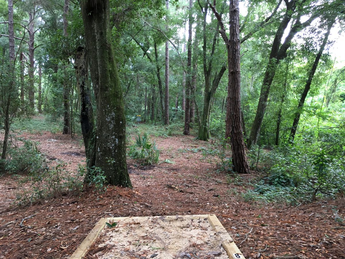 Hole 8 Tee
