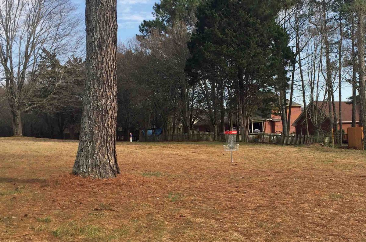 Hole 3 basket.