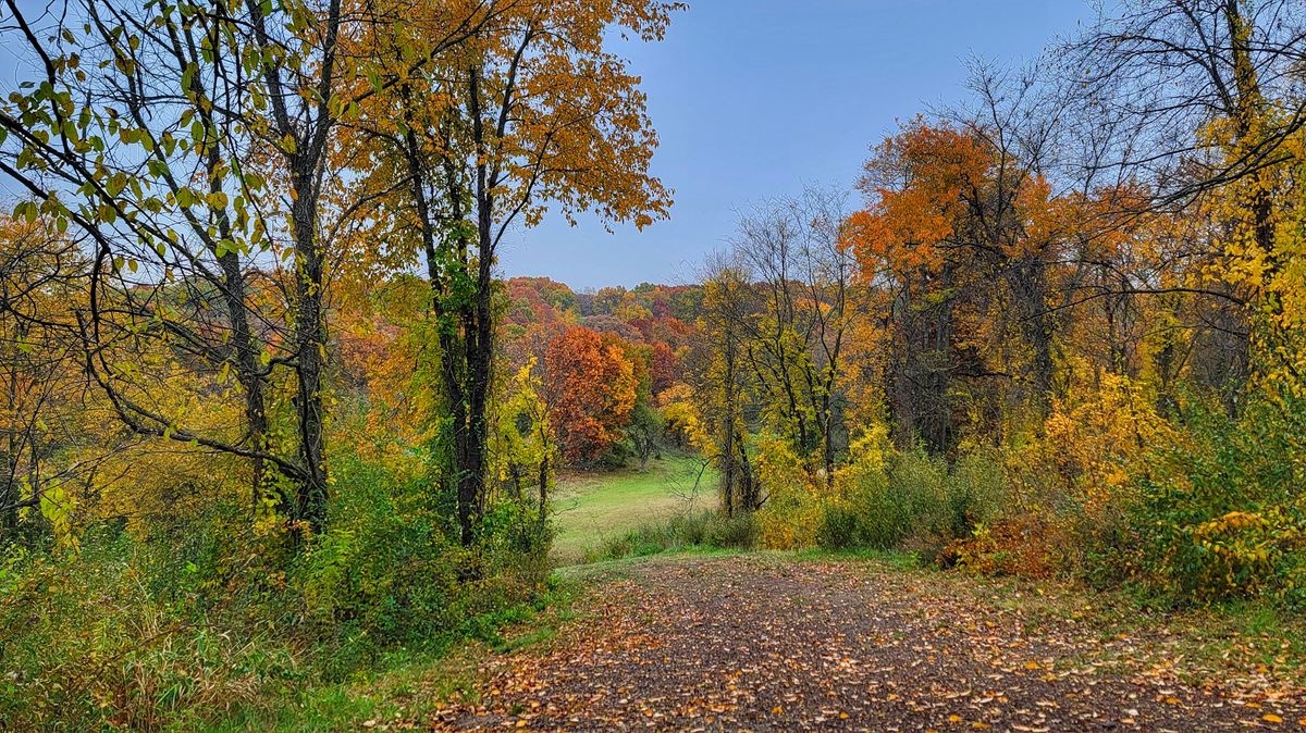 Hole 11 - tee