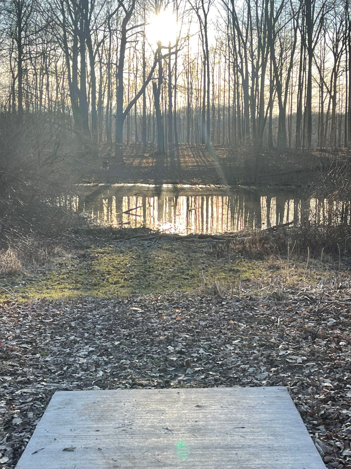 Hole 11 white