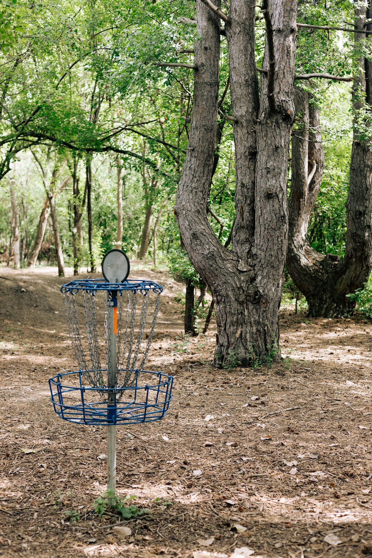 Hole 4
