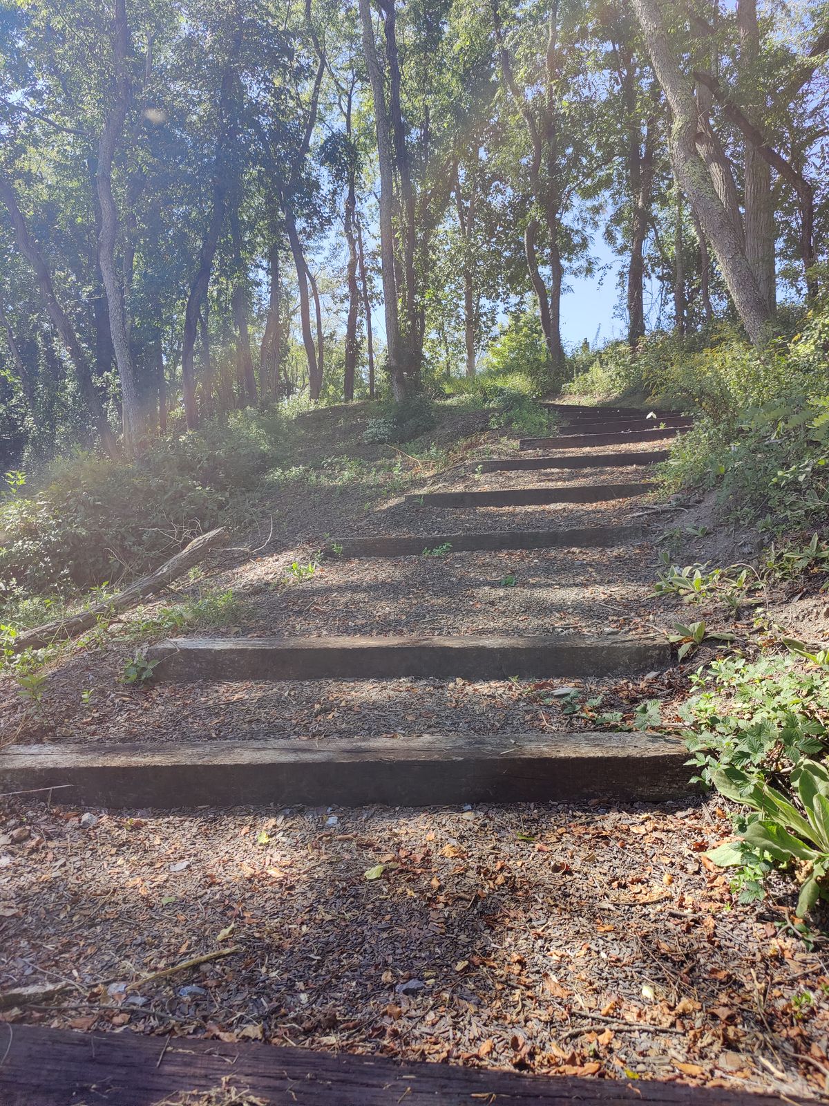 Steps on fifteen