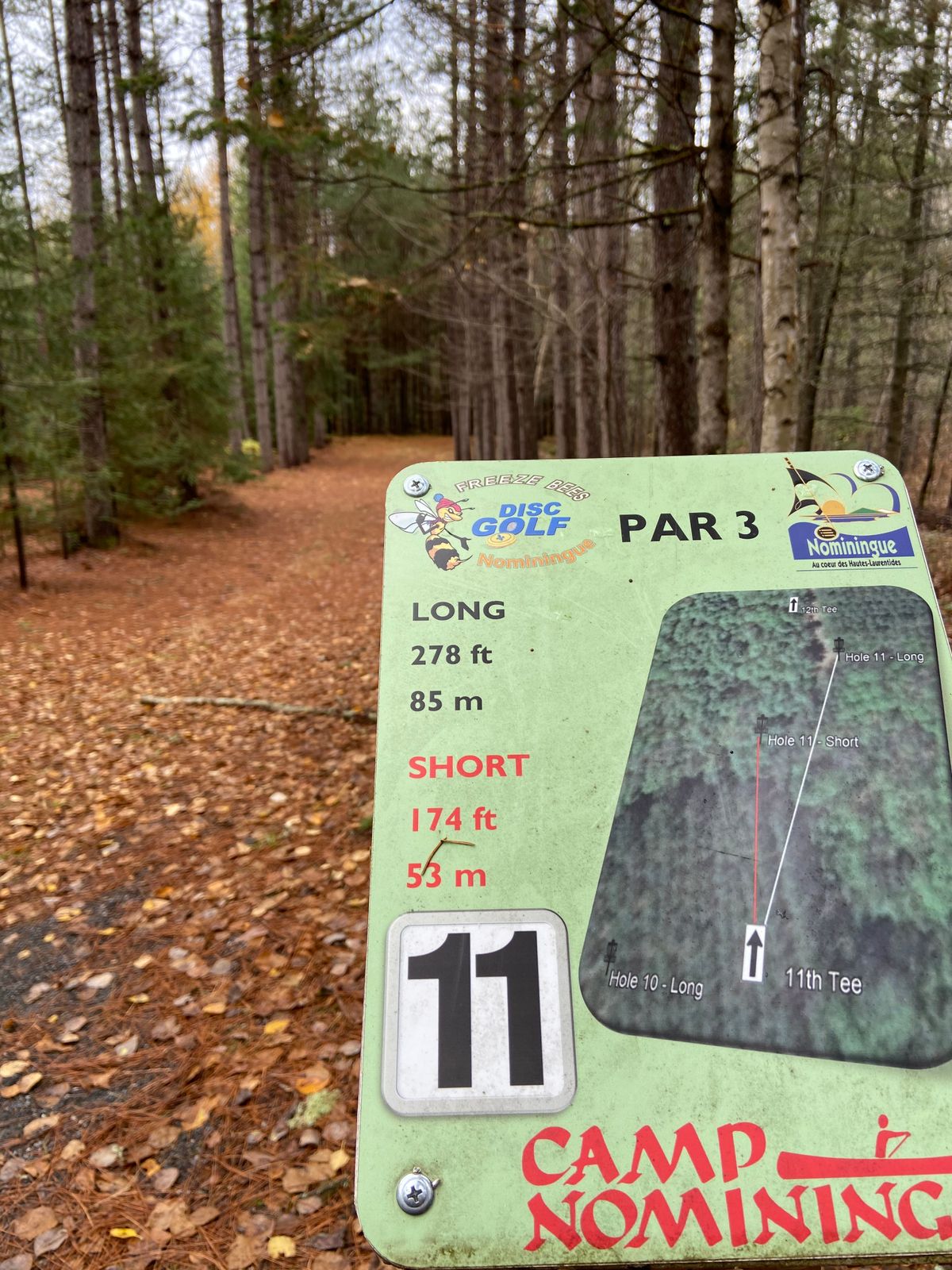 Tee 11