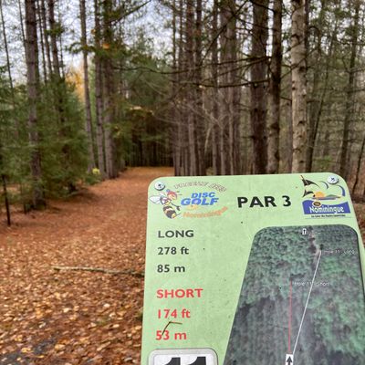 Tee 11