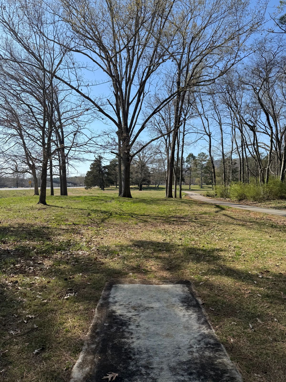 Hole 15 Tee box view