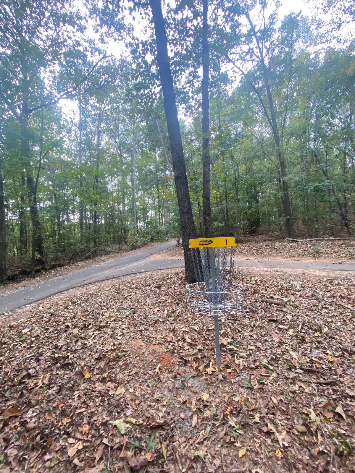 Hole 1 Basket