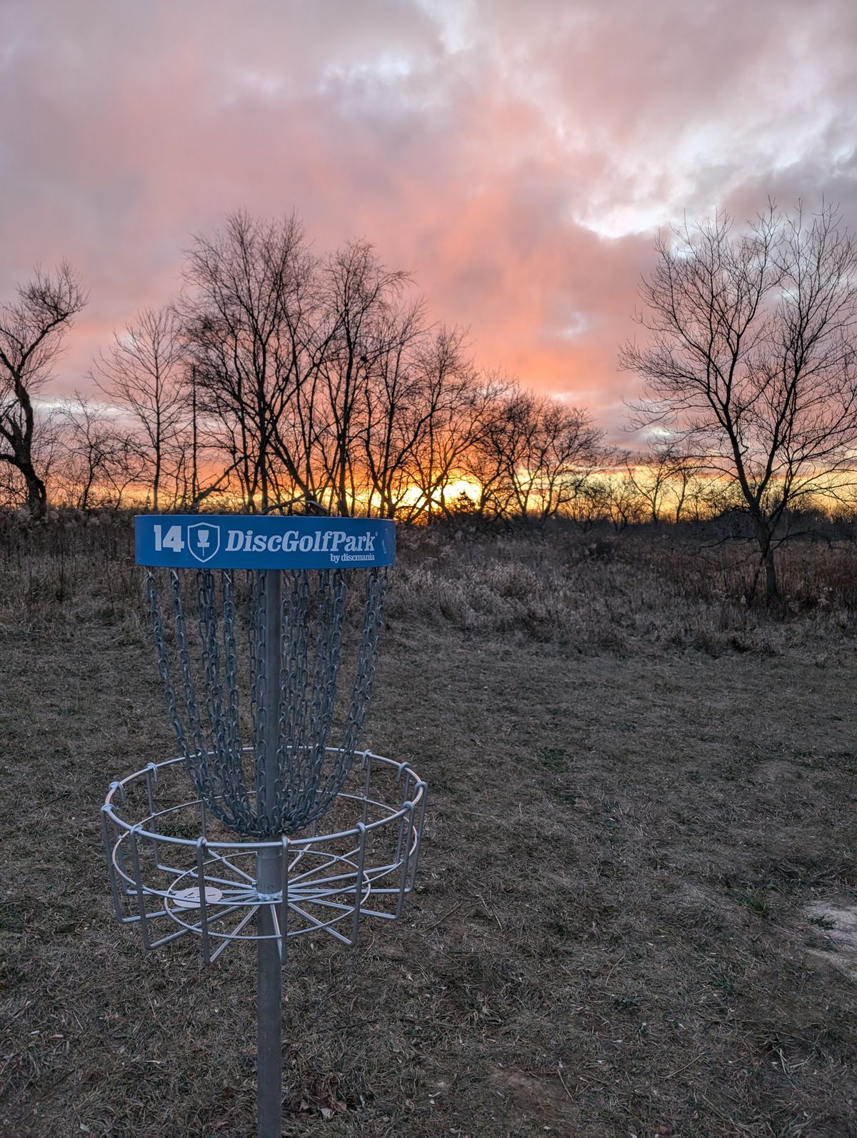 14's basket in the sunset