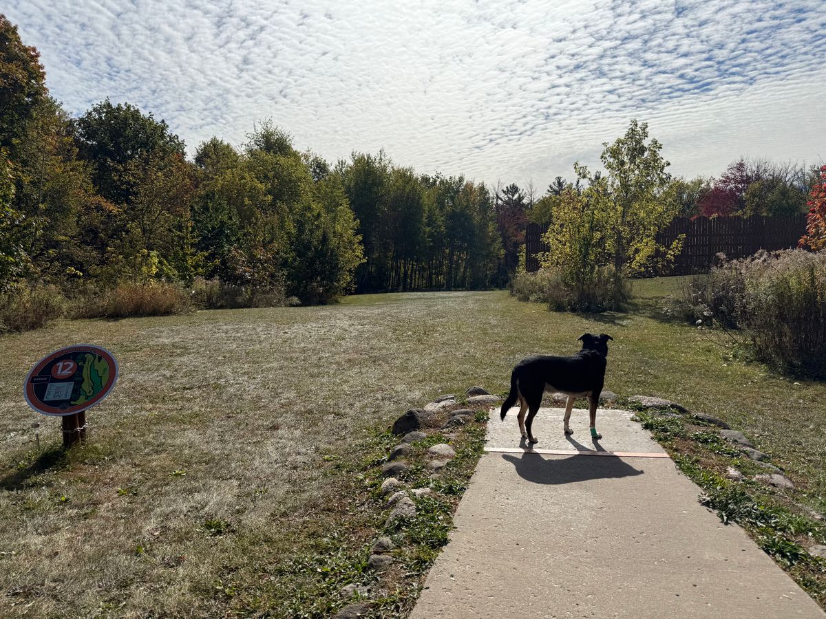Hole 12