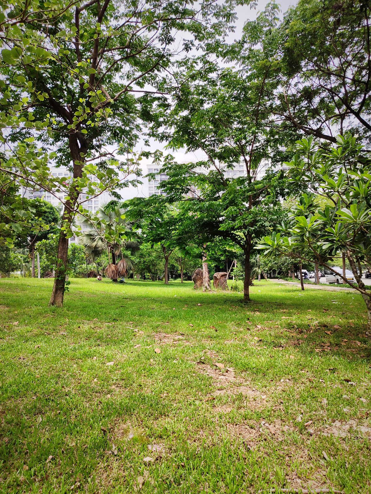 Hole 3 Tee - Nine in the Park