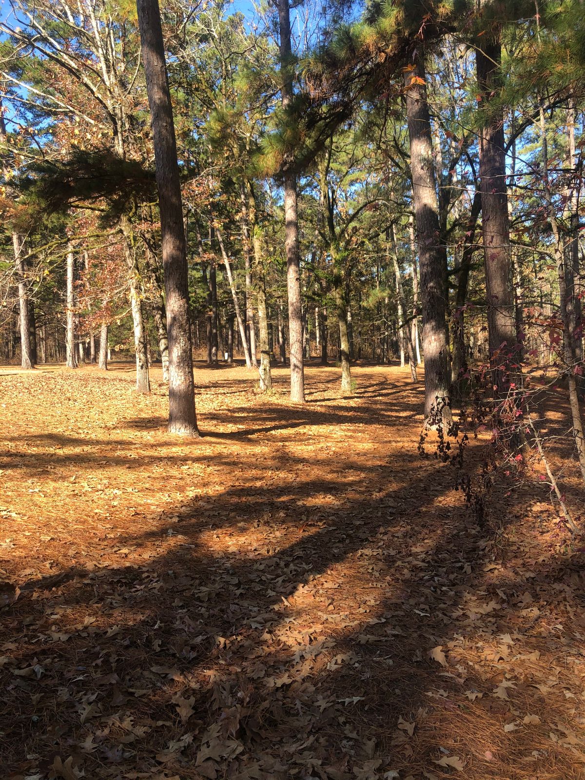 Hole 11