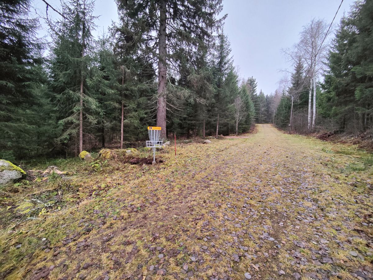 Väylä 2 kori