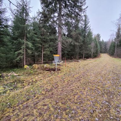 Väylä 2 kori