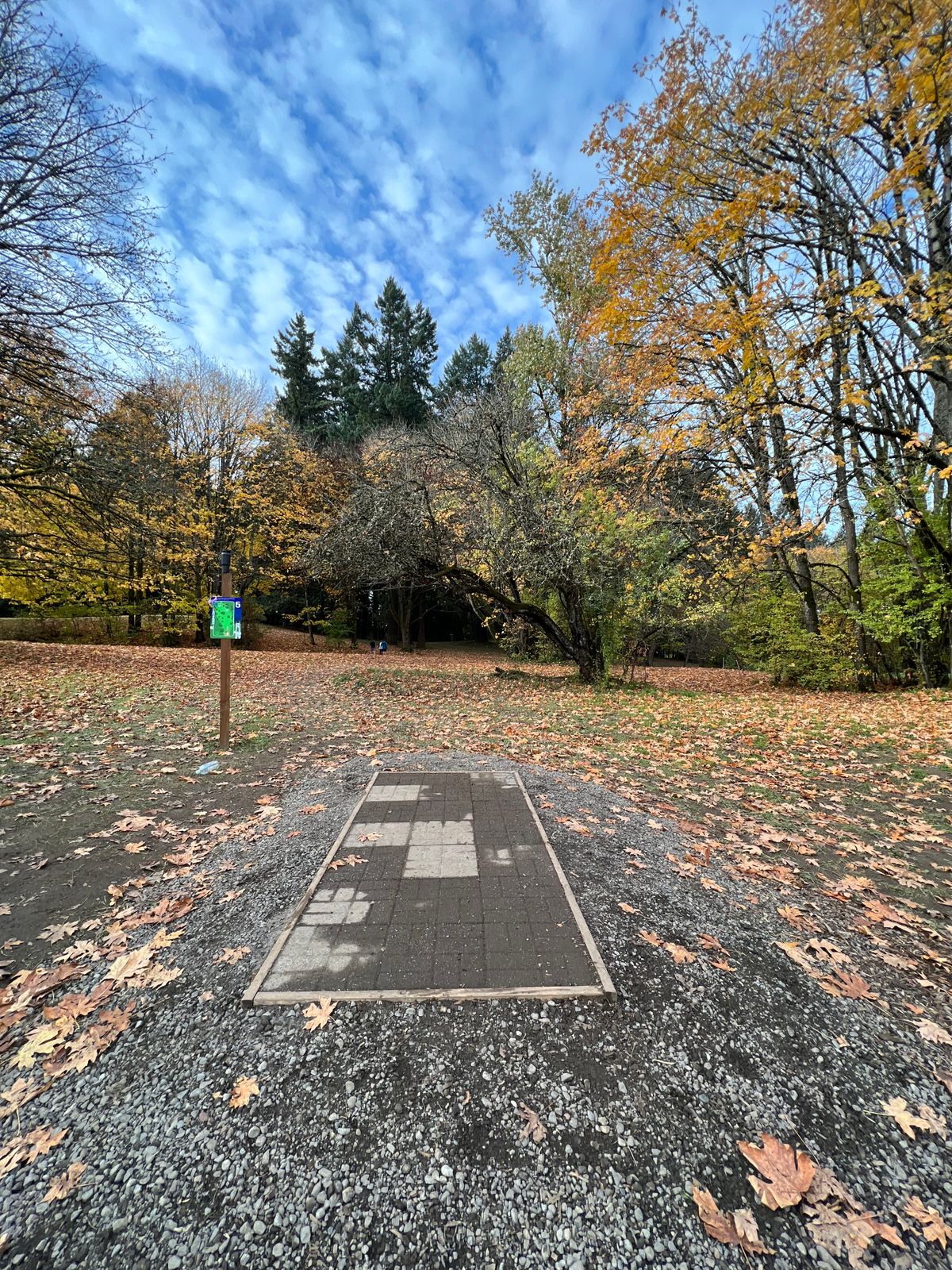 New winter layout hole.