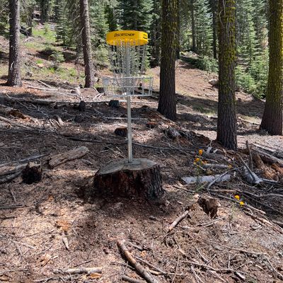 Hole 3 elevated basket