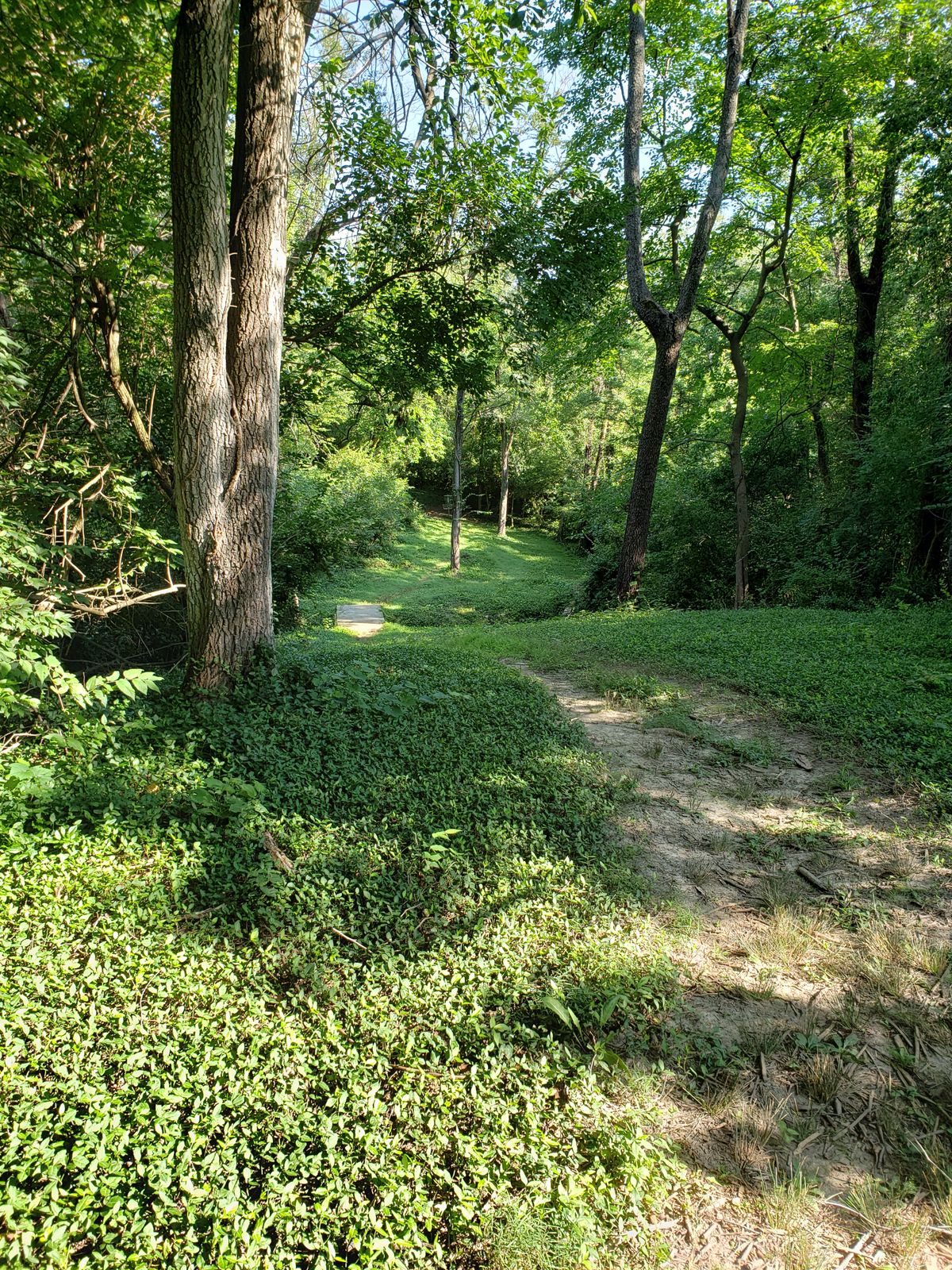 #3 Fairway view from Tee-Pad