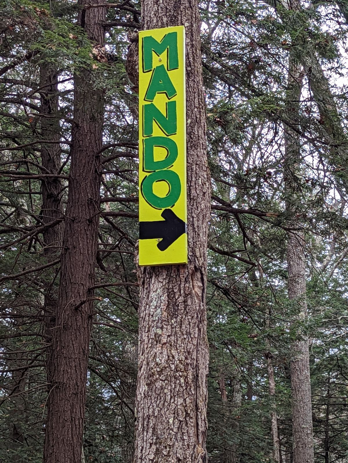 Mando on 4
