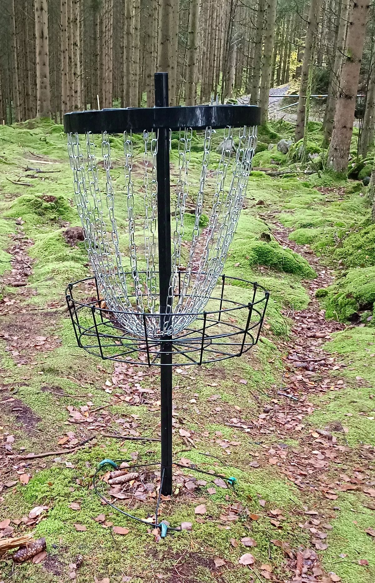 Enklare korgar (Ej PDGA-godkända) men helt okej 👍