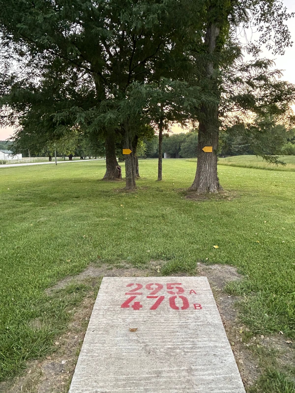 Hole #7 tee pad through double mando's