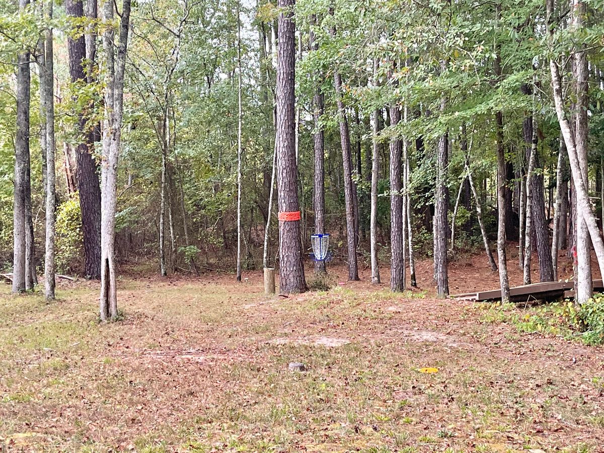 Hole 4 Basket