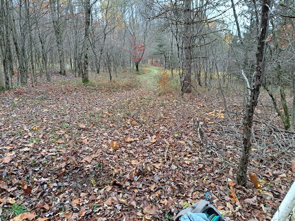 Hole 2 Short