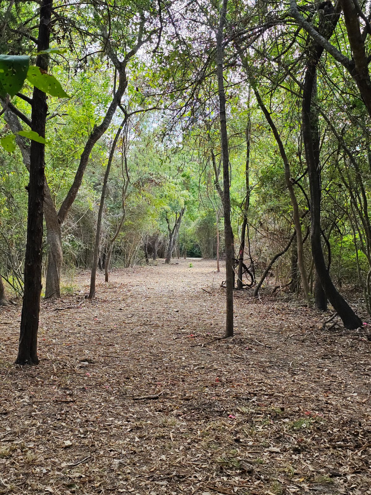 Hole 1 Fairway