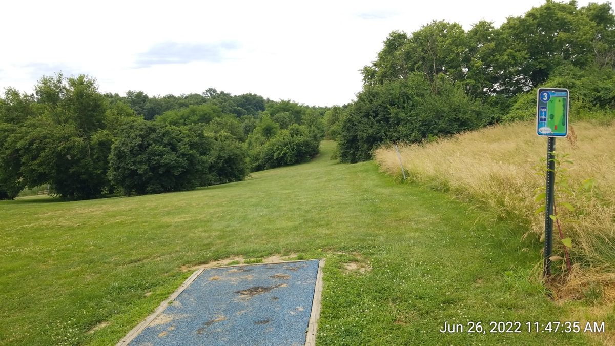 Basket for Hole 3 is ahead through the path in the center/right of the photo