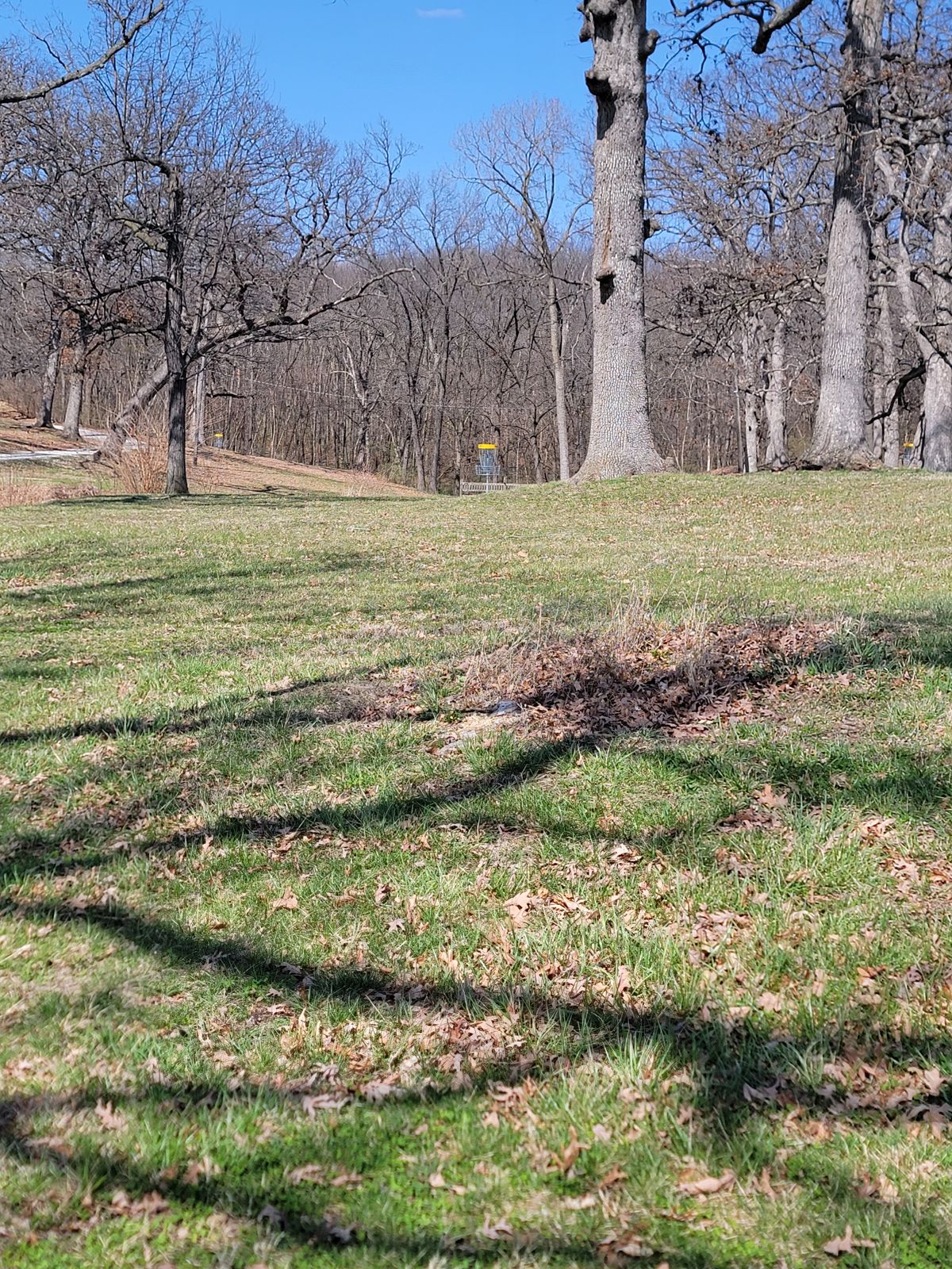 Hole 3 fairway looking towards the basket