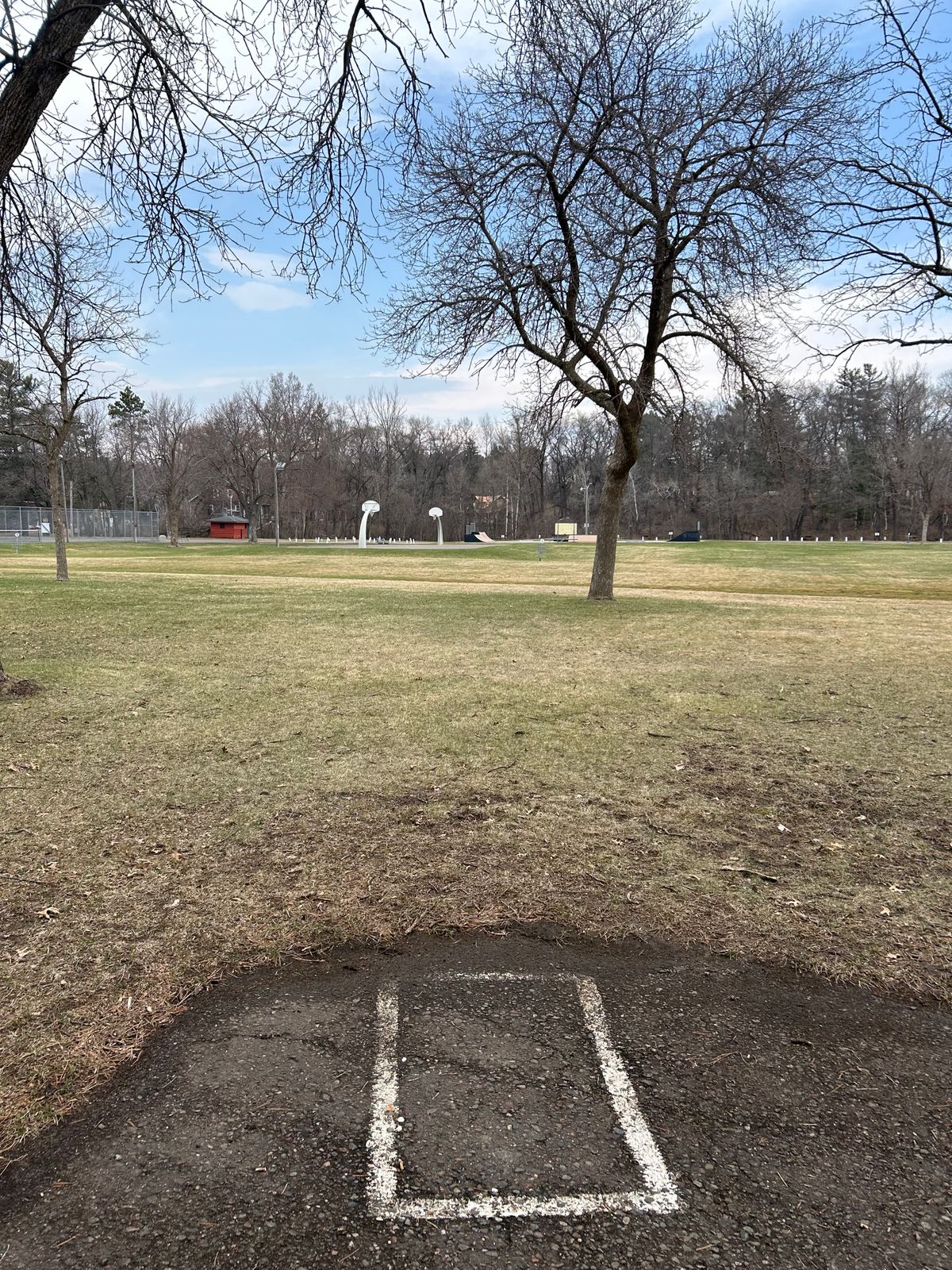 Hole 5 tee area