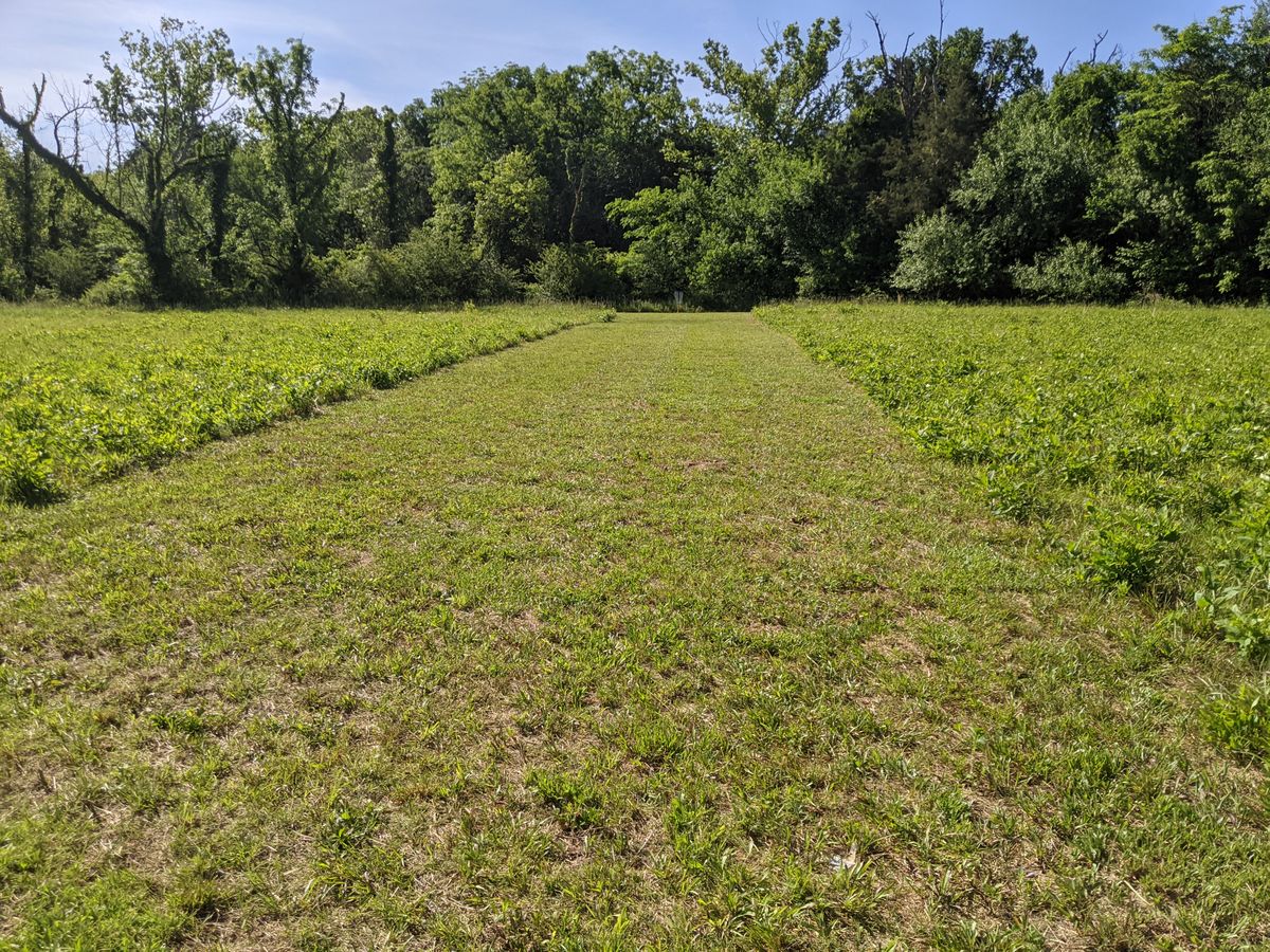 Hole 2 Fairway