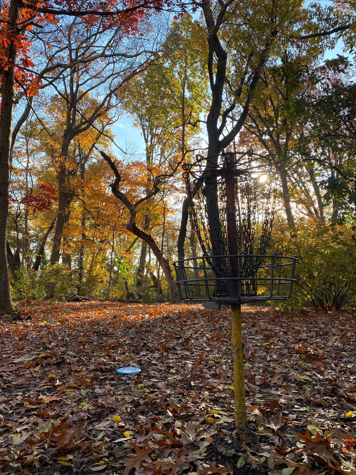 Fall vibes on 16.