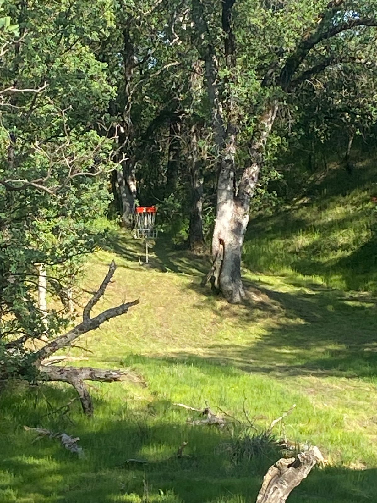 Hole 2 deep, behind the hole 3 lookout.