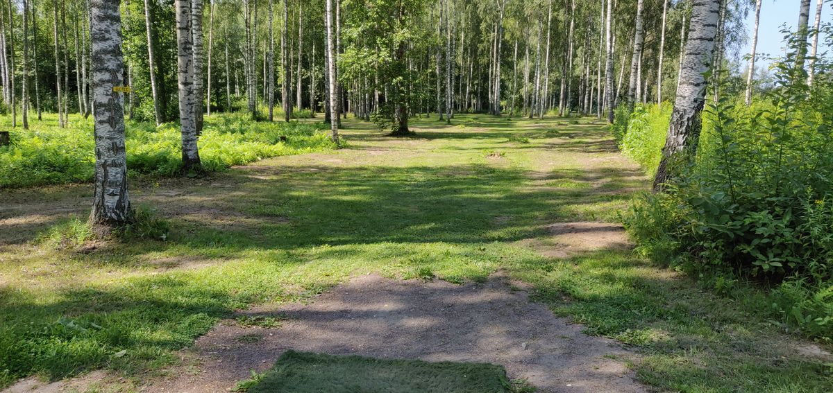 Hål 13, En hyzer på 125 meter. Vem klarar av det?
