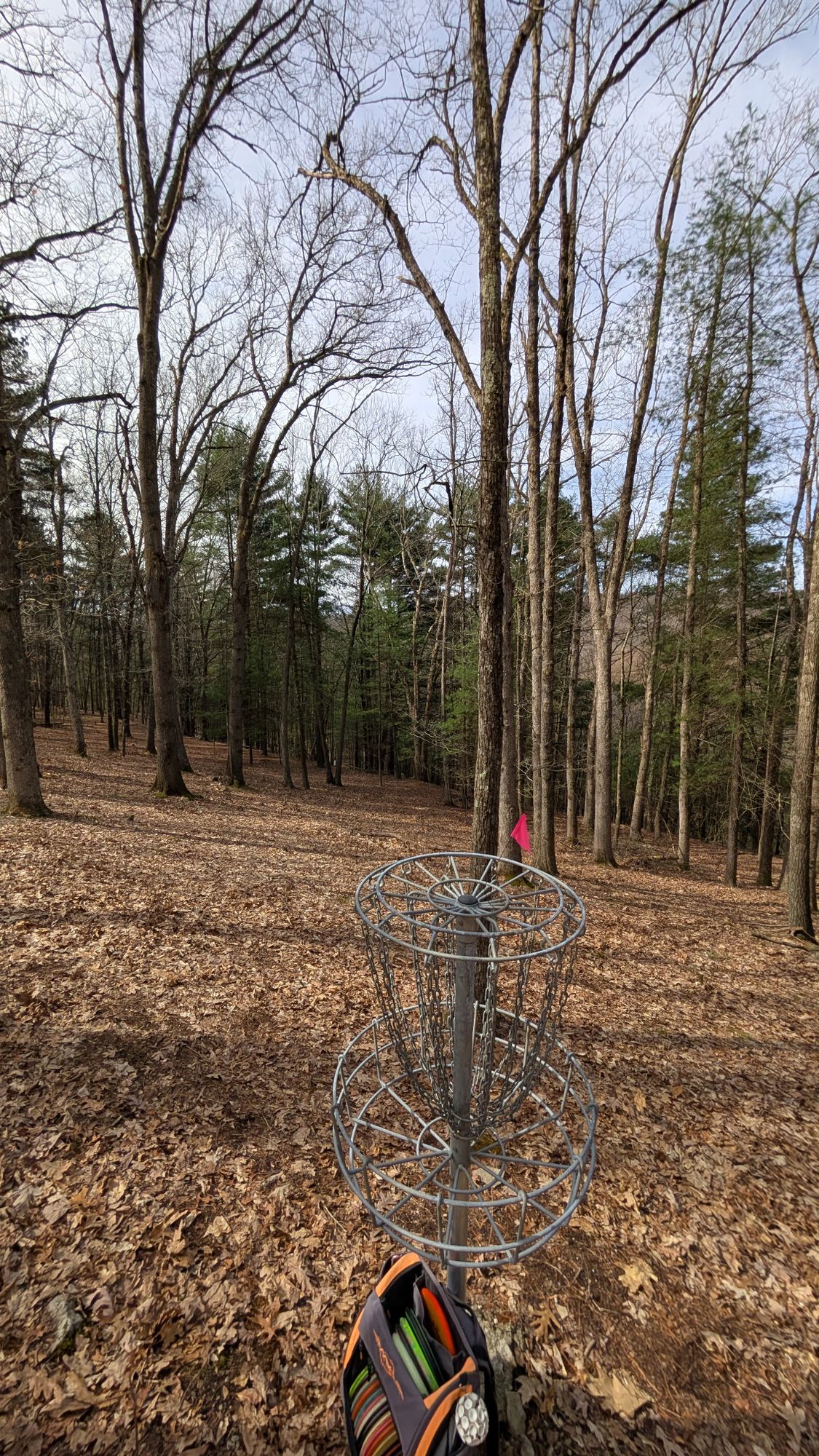 View from #15 basket towards tee