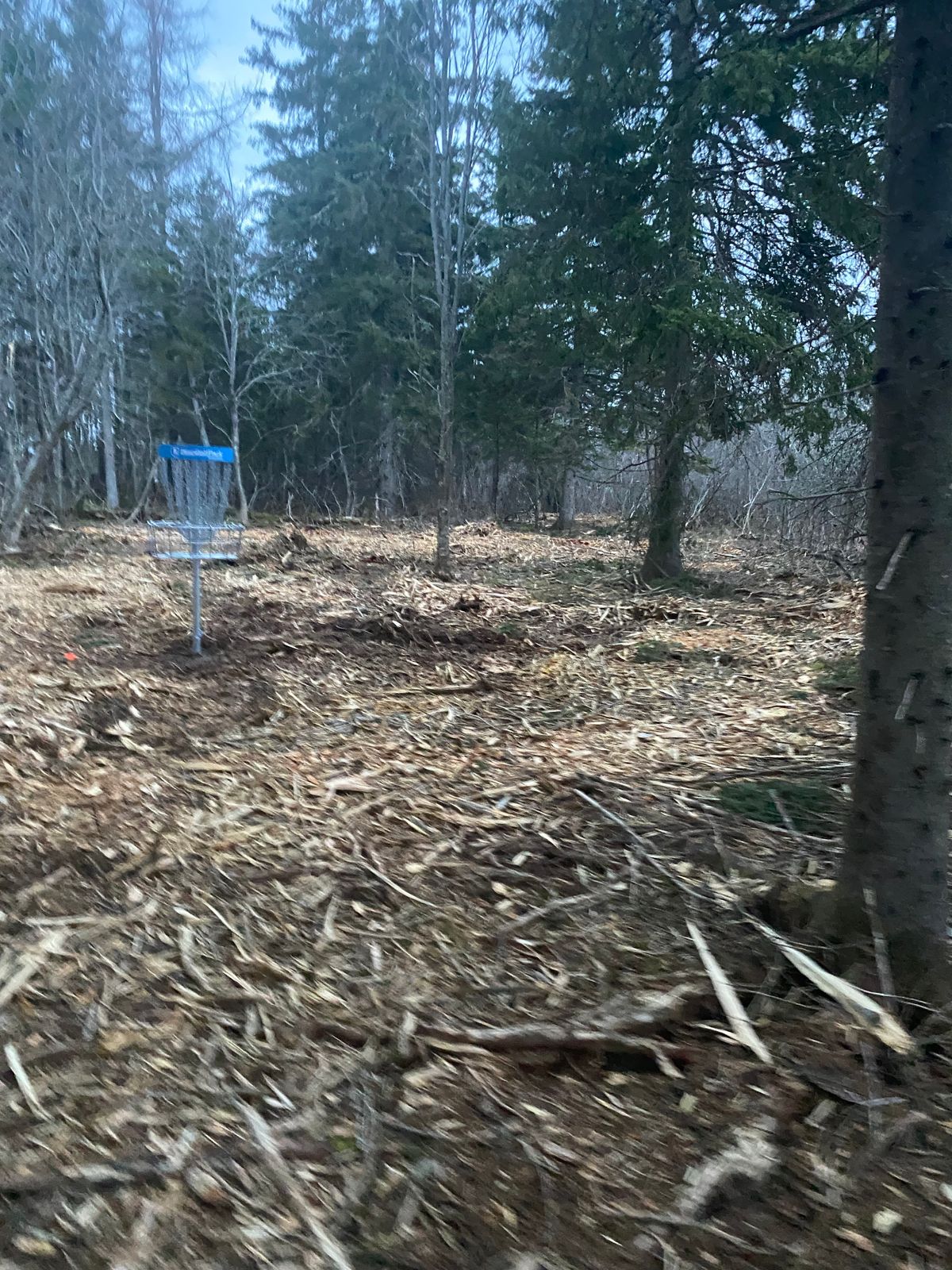 Hole 5