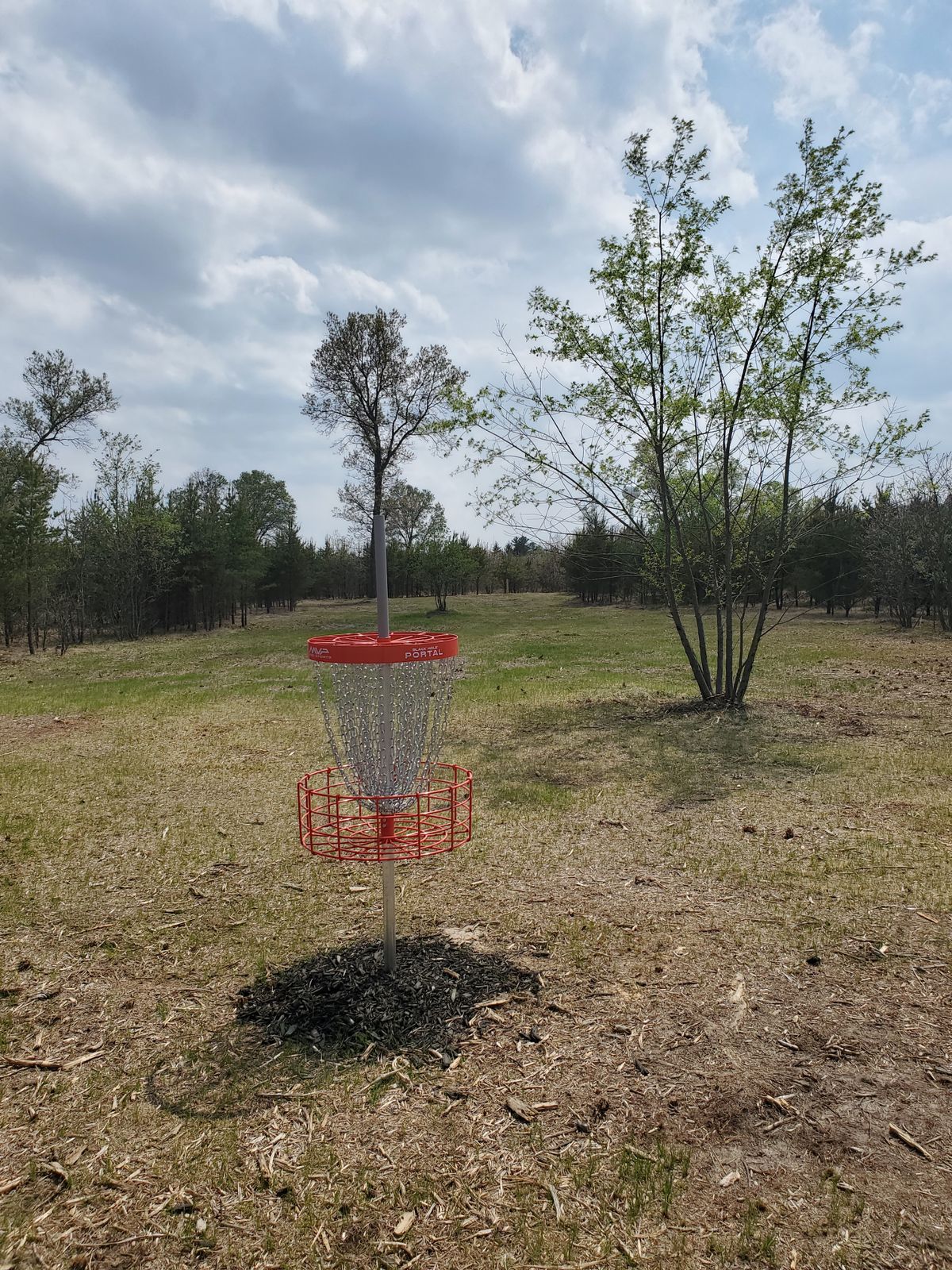 #4 basket (future tunnel shot)