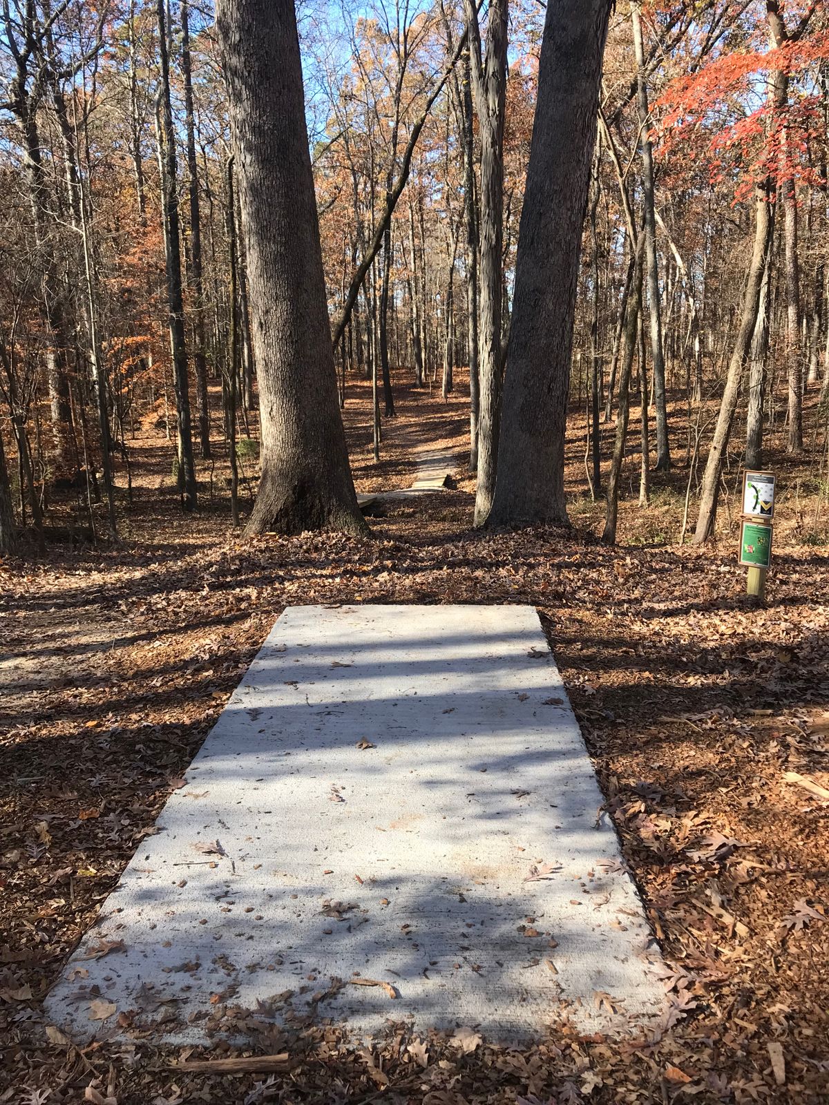 Hole 11 tee