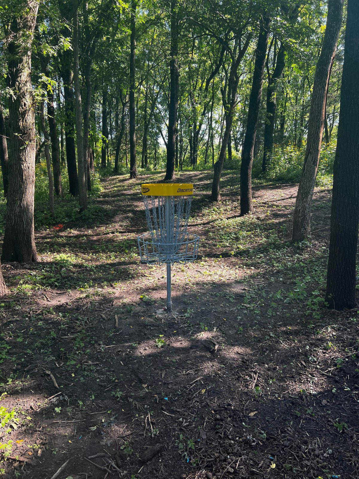 Hole 18 basket