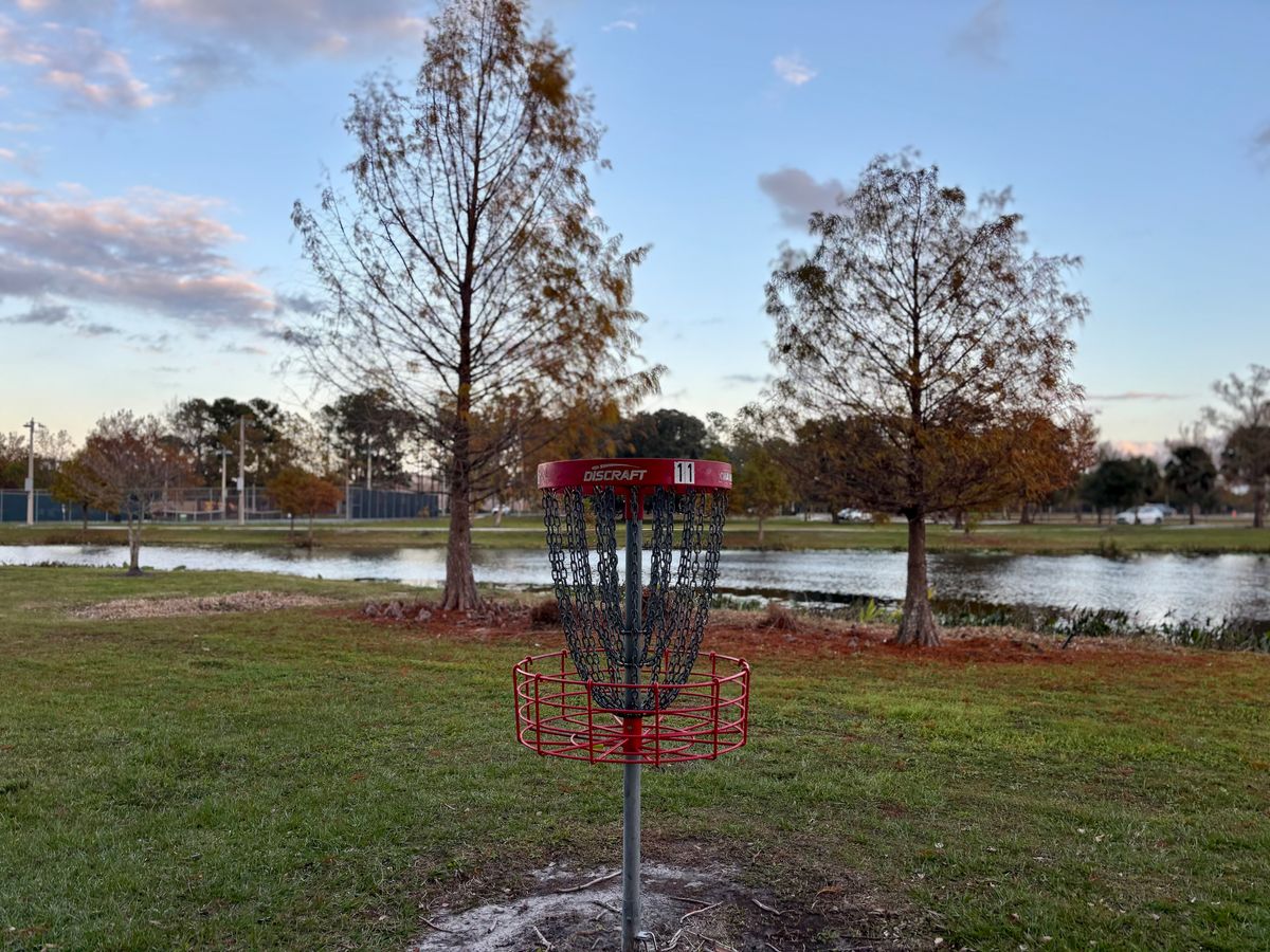 Hole 11 basket