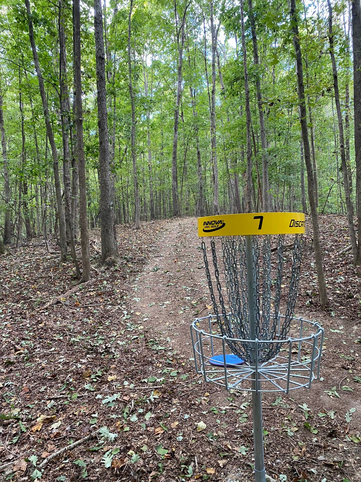 Hole 7 Basket
