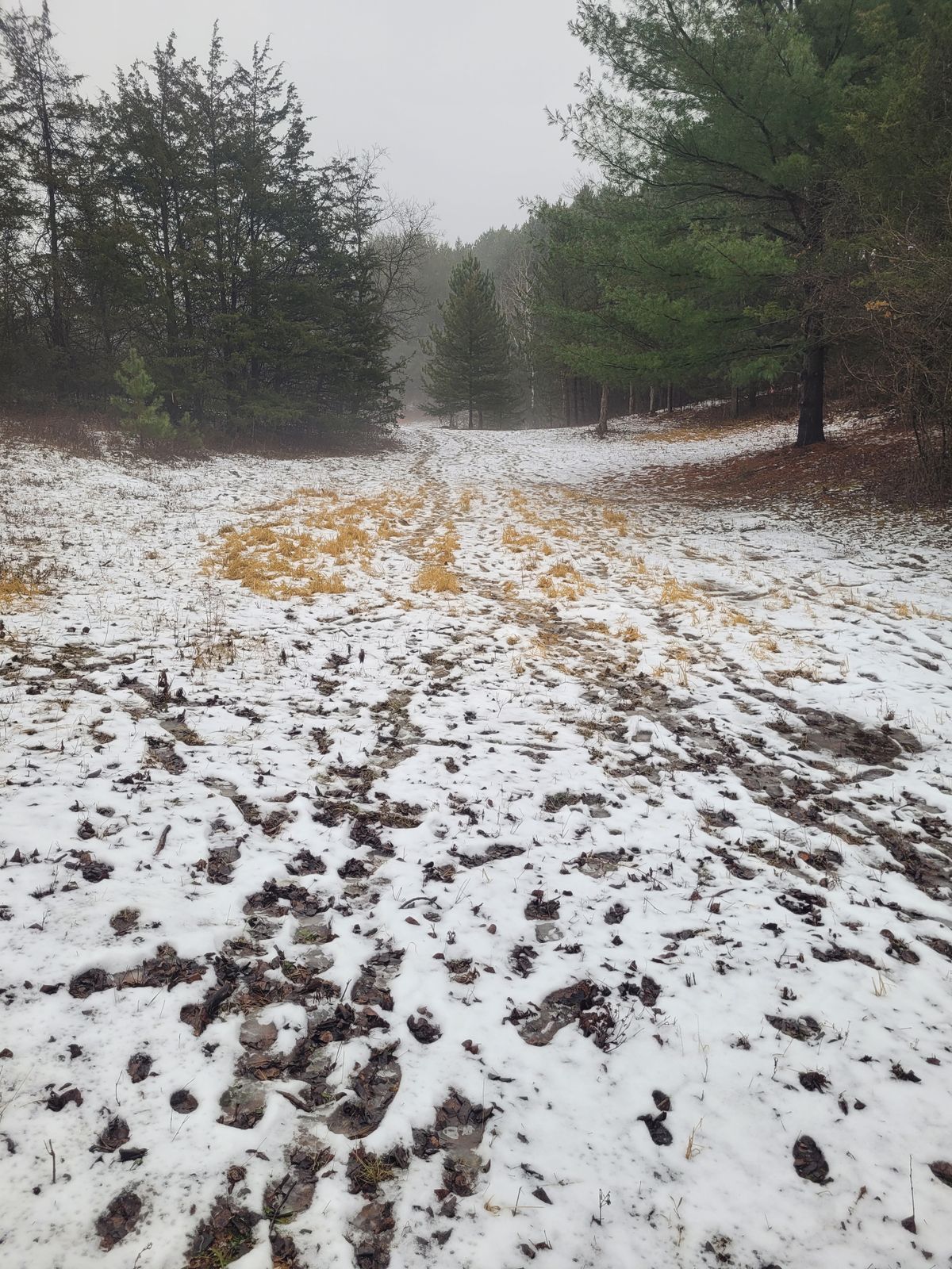 Winter hole 6
