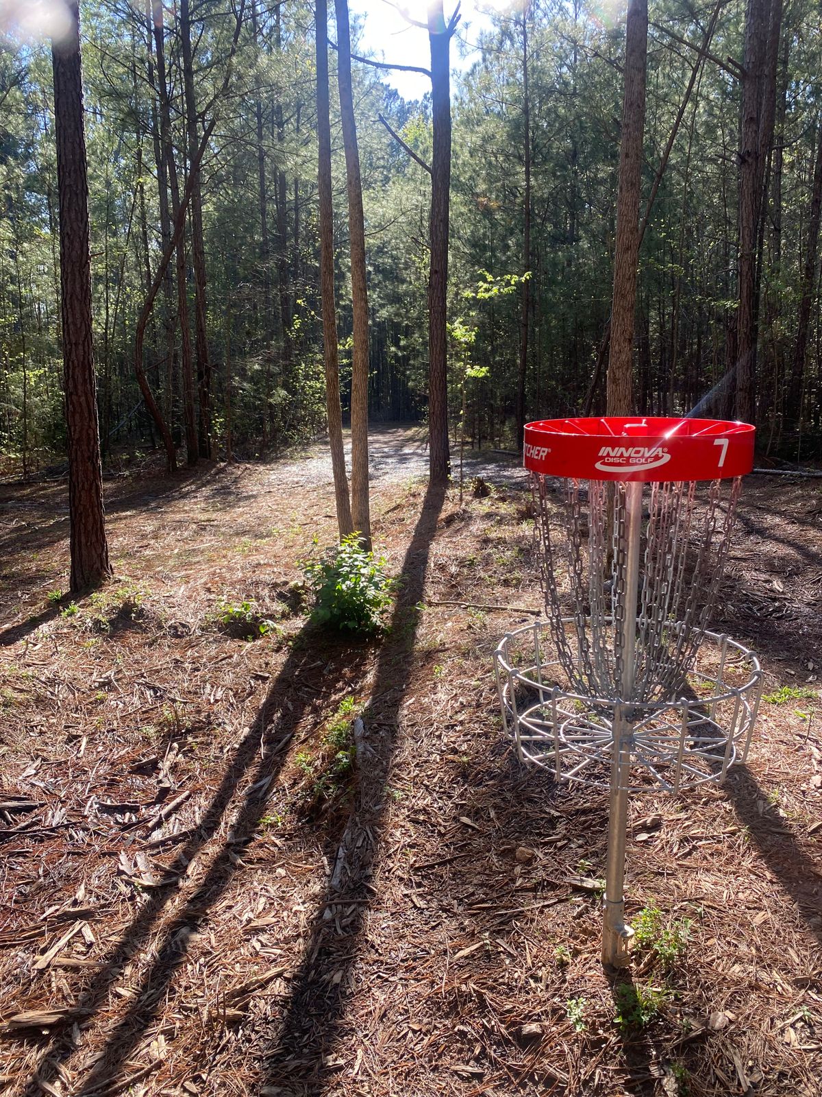 Basket 7 looking towards pad for 8