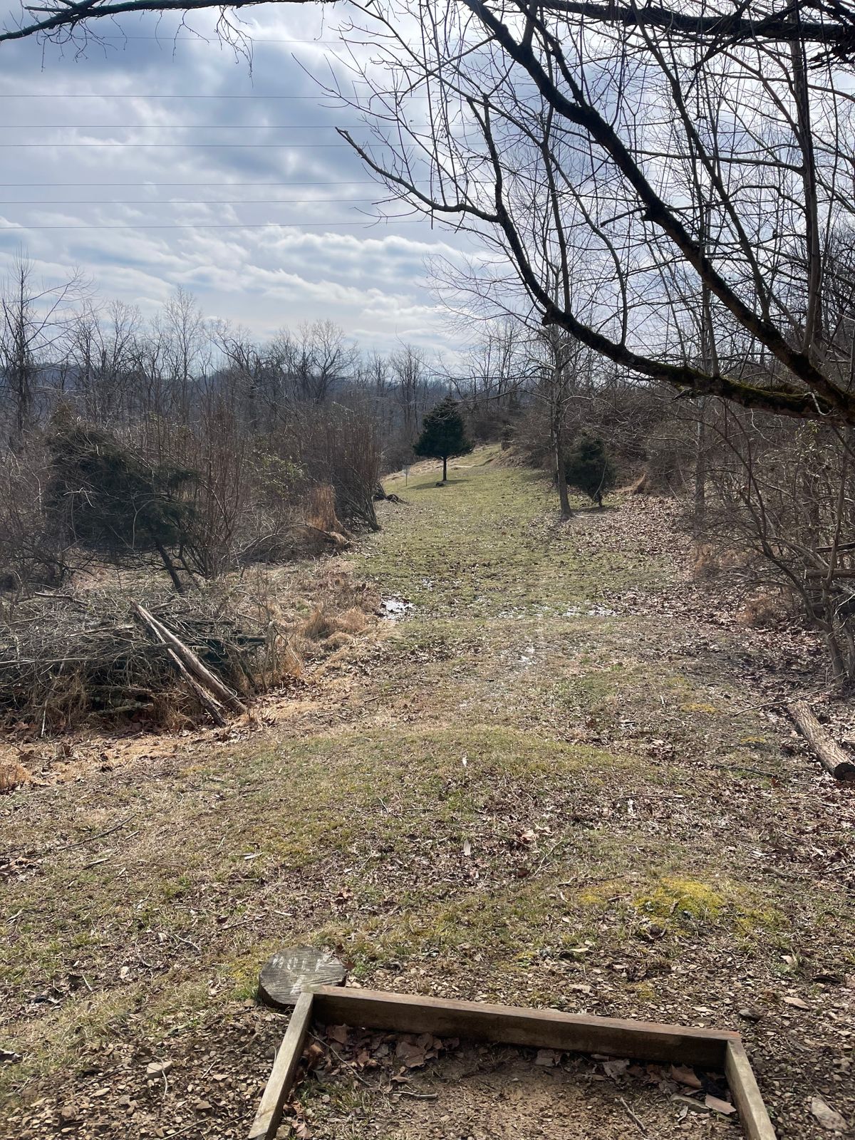 Hole 7 (Teebox)
