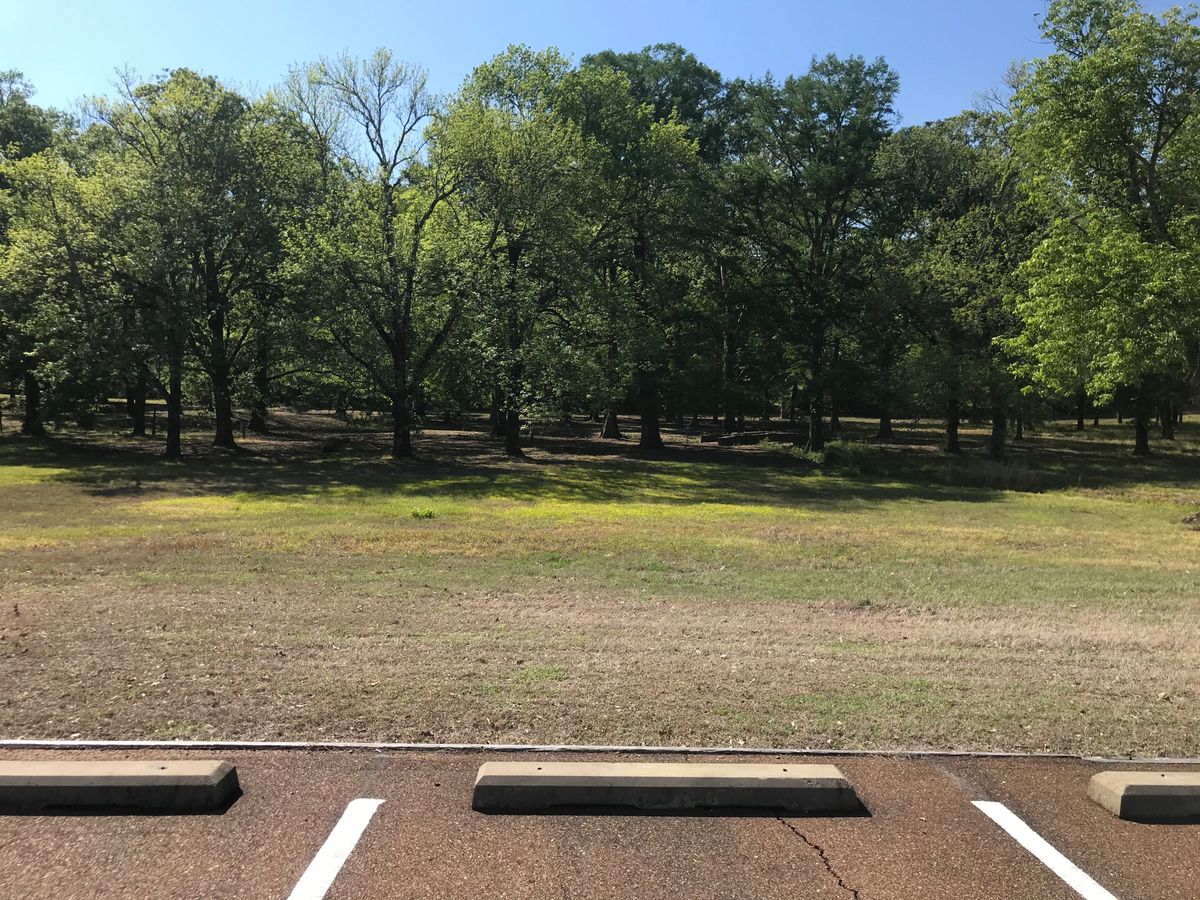 Main Course area from road