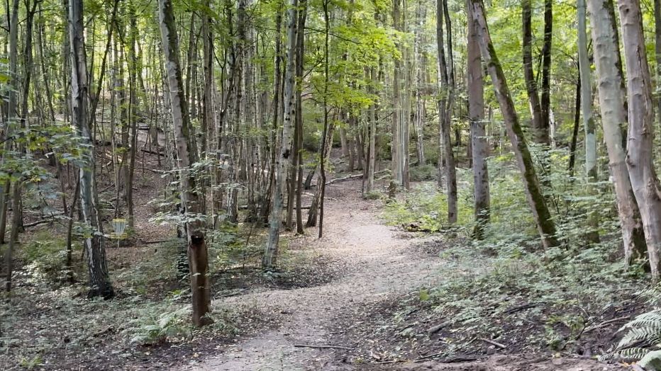Hole #6: Forest vibes